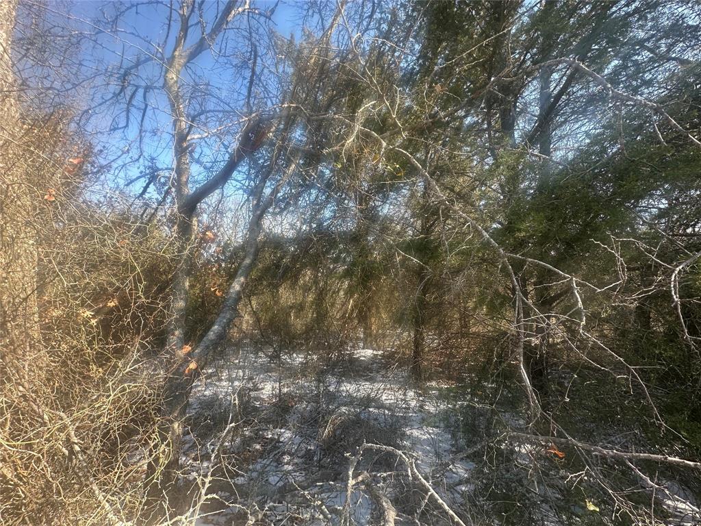 Land of Goshen - Land