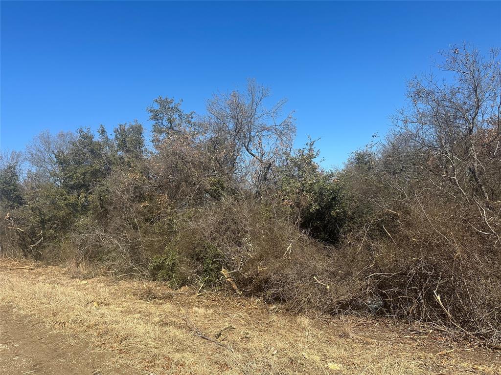 Land of Goshen - Land