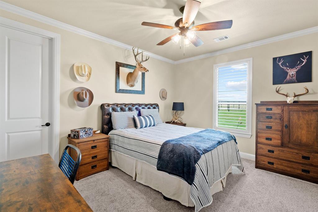 Rocky Creek Ranch - Farm