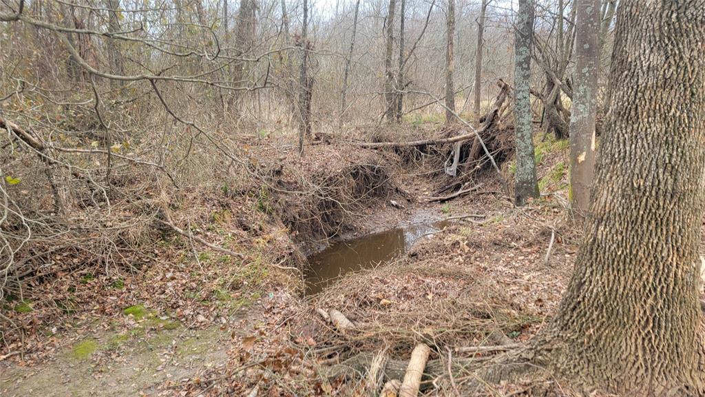 Hopkins Francis - Land