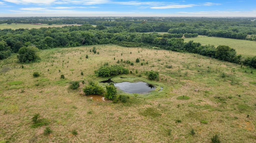 GS Bonnor and T Hill Survey - Land