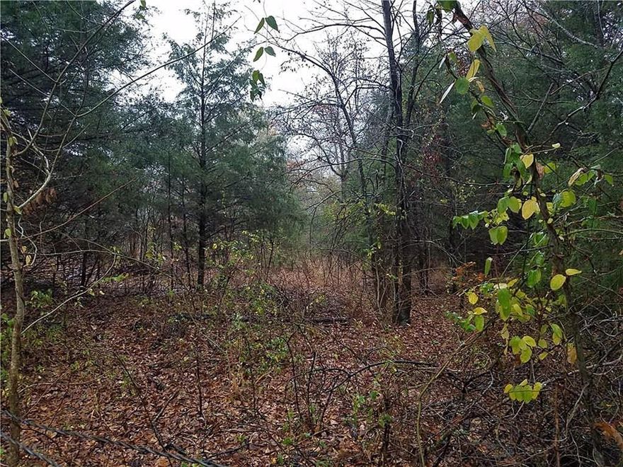 Parcel ID 36428 is 2 acres with a 75' access easement from Sleepy Hollow Dr across Parcel ID 15396 and 15395 to Parcel ID 15394 which is 33.58 acres with an Ag Exemption. . The seller is willing to sell the property in smaller sections. See Survey in the Documents.