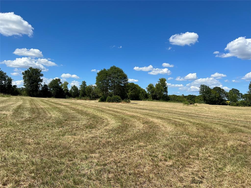 Other - Commercial Sale