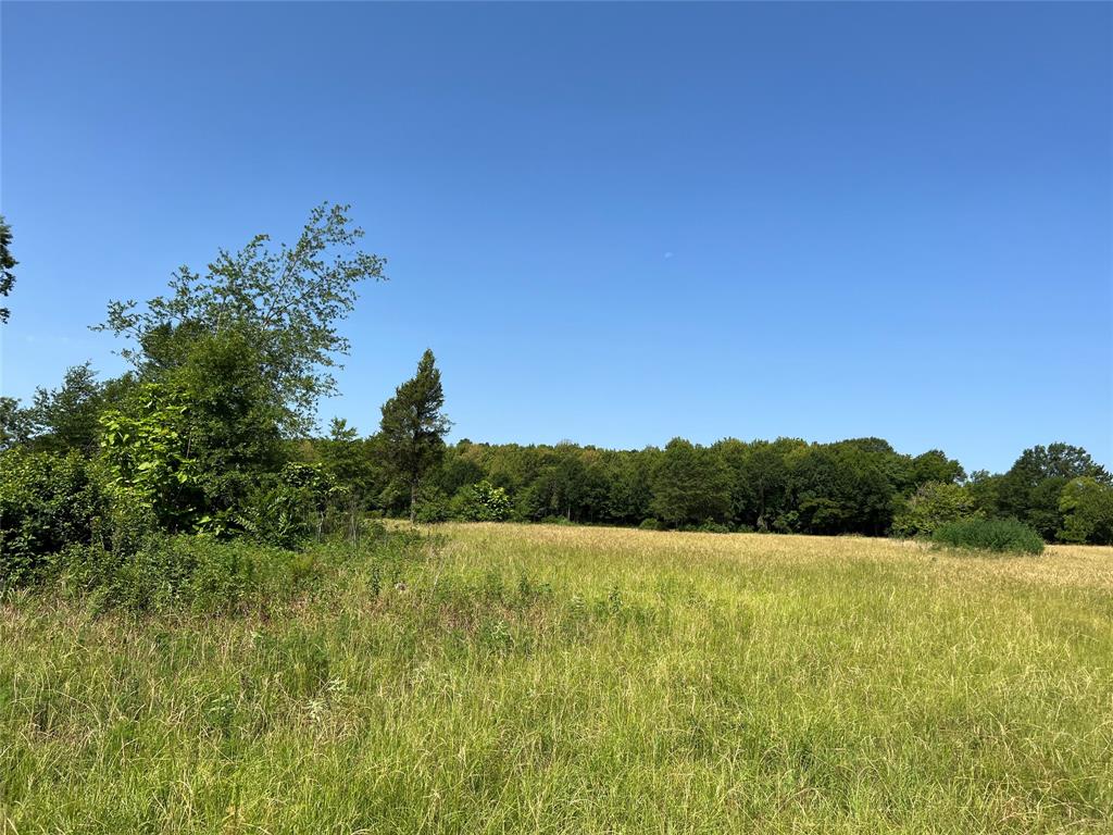 Other - Commercial Sale