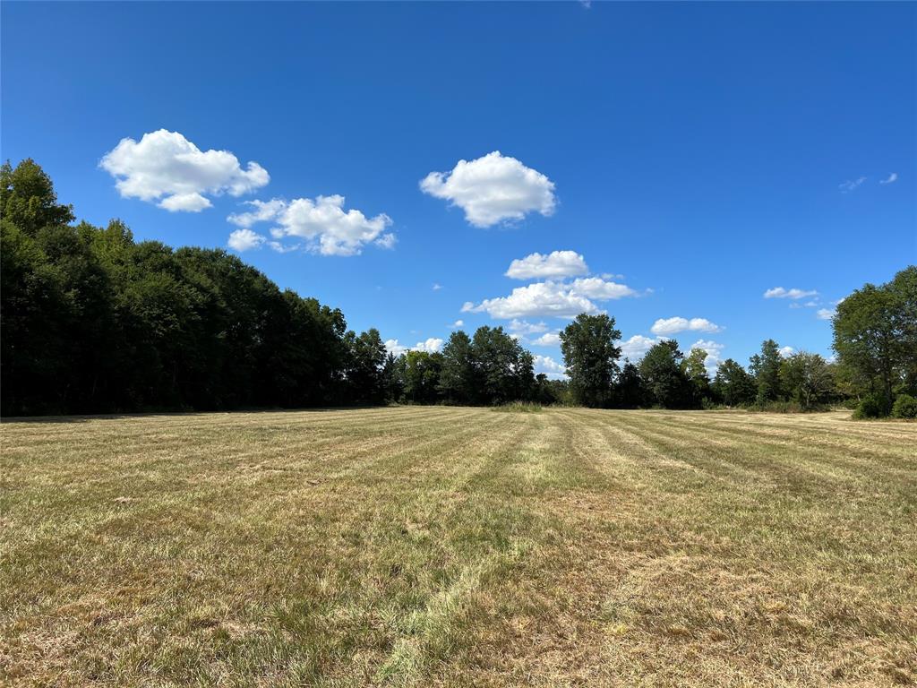 Other - Commercial Sale