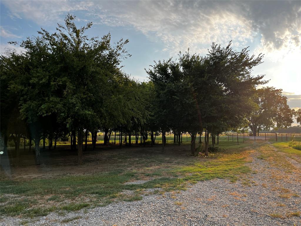 1242 N FM 1752