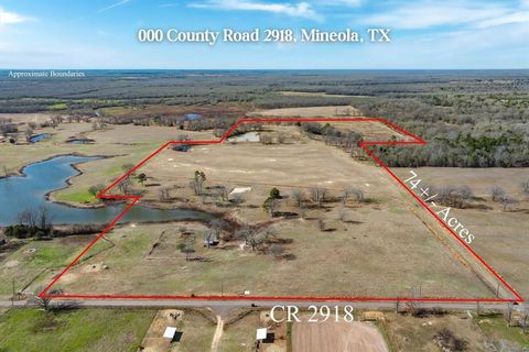 000 County Road 2918 Mineola TX 75773