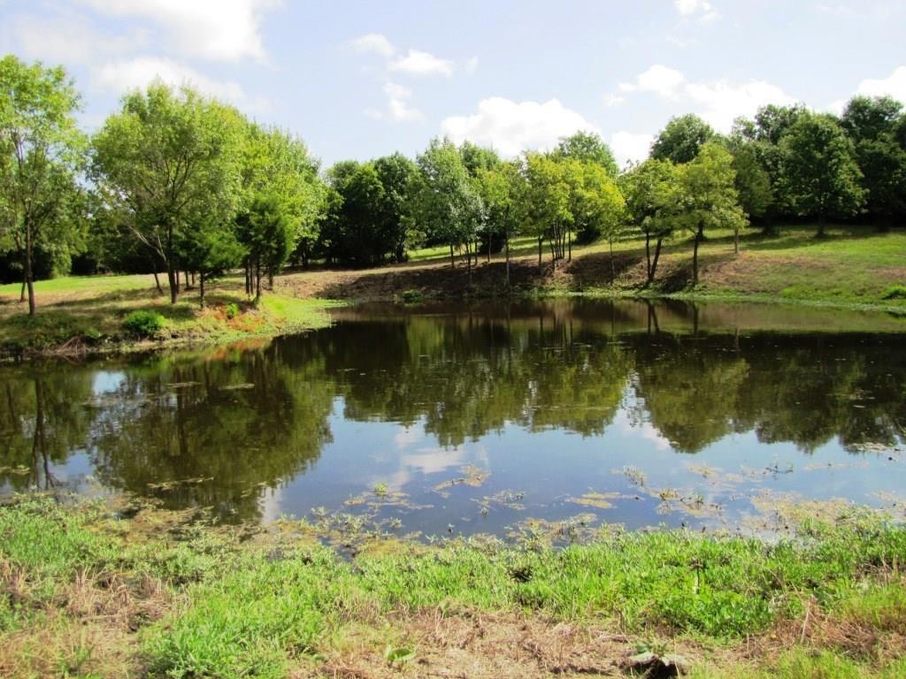 Blue Ridge - Residential Lease