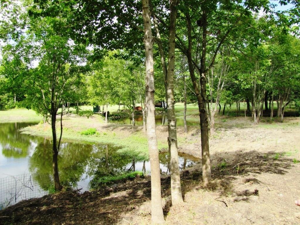 Blue Ridge - Residential Lease