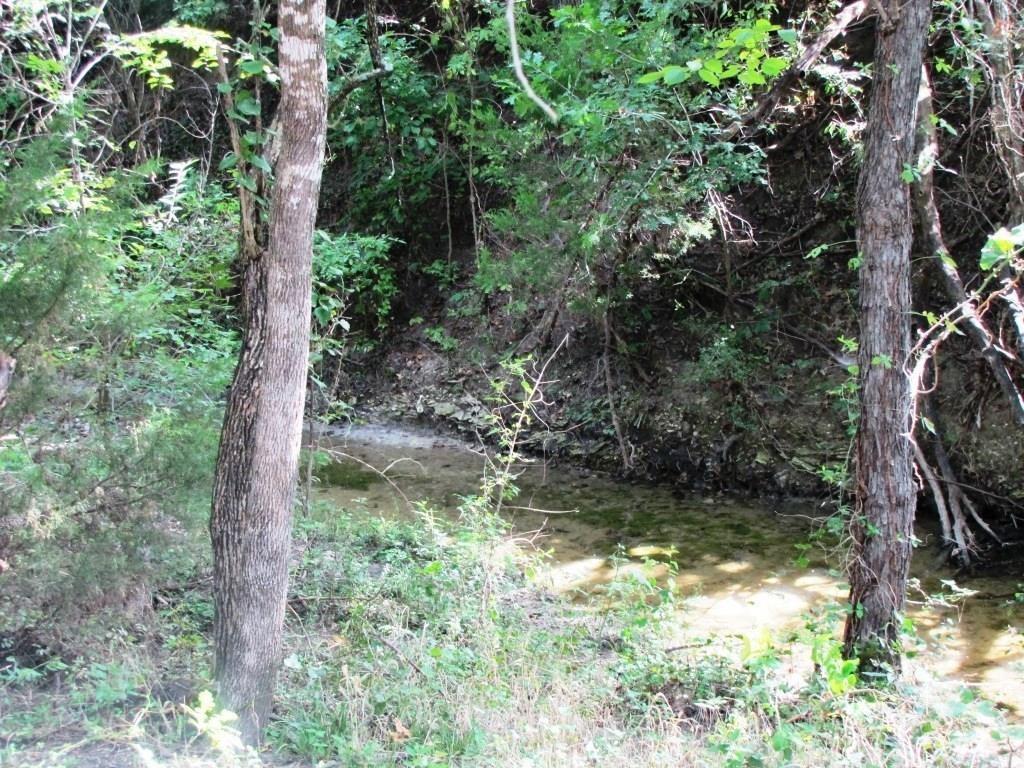 Blue Ridge - Residential Lease