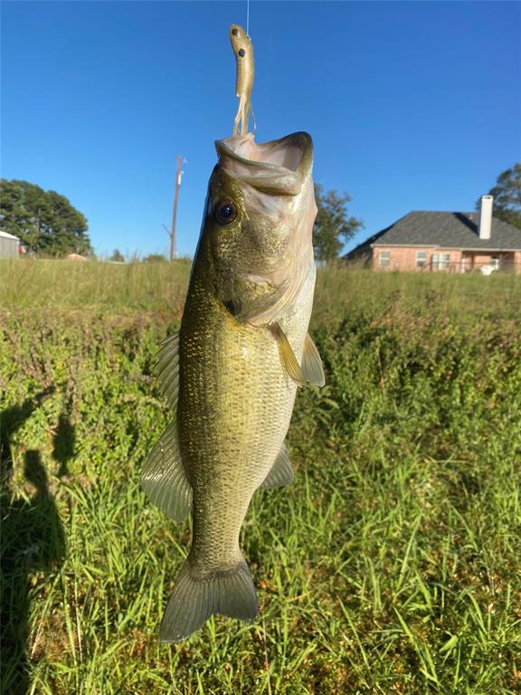 W F Mitcham - Residential