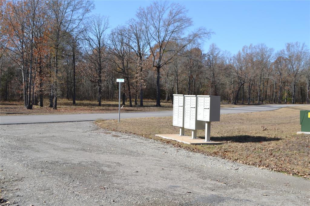 Angler Shores - Land