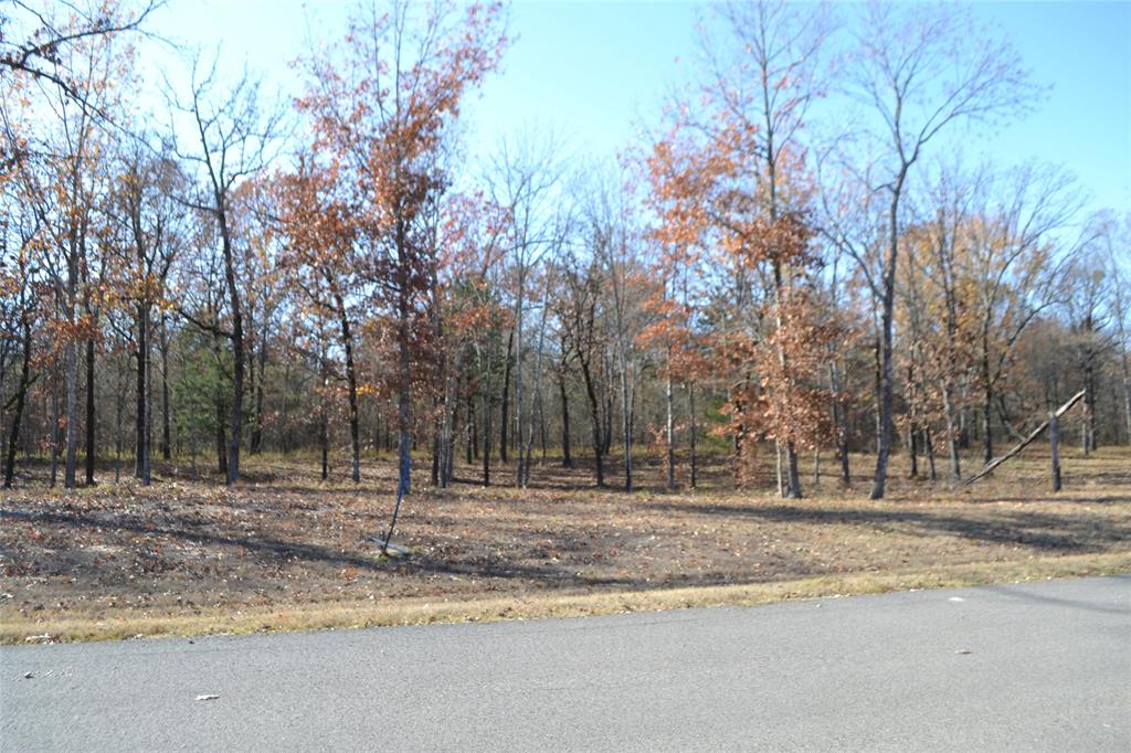 Angler Shores - Land