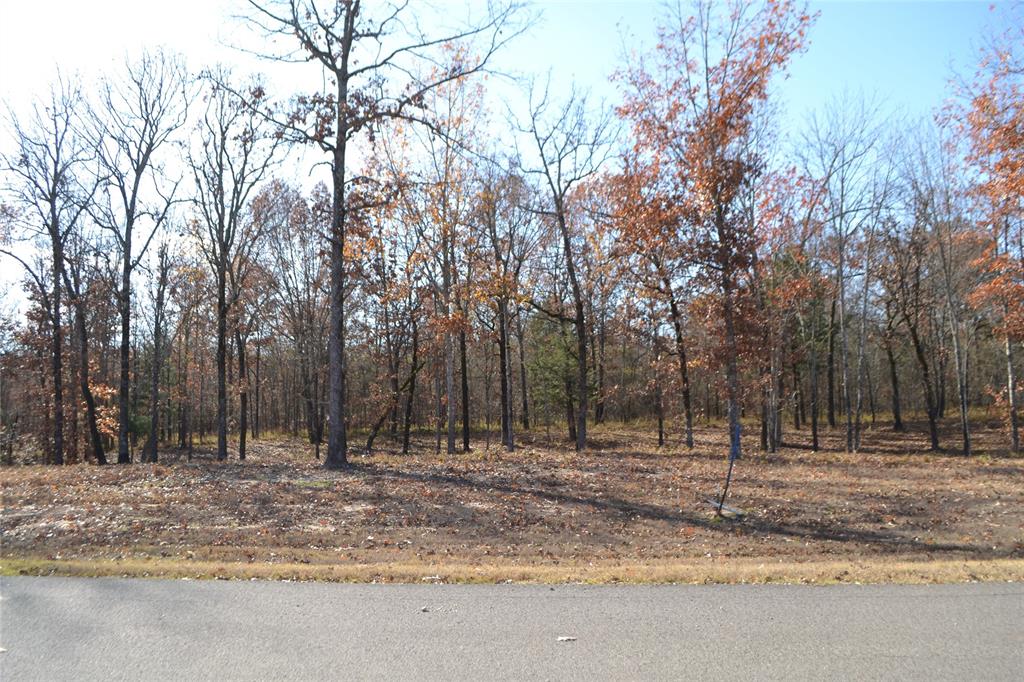 Angler Shores - Land