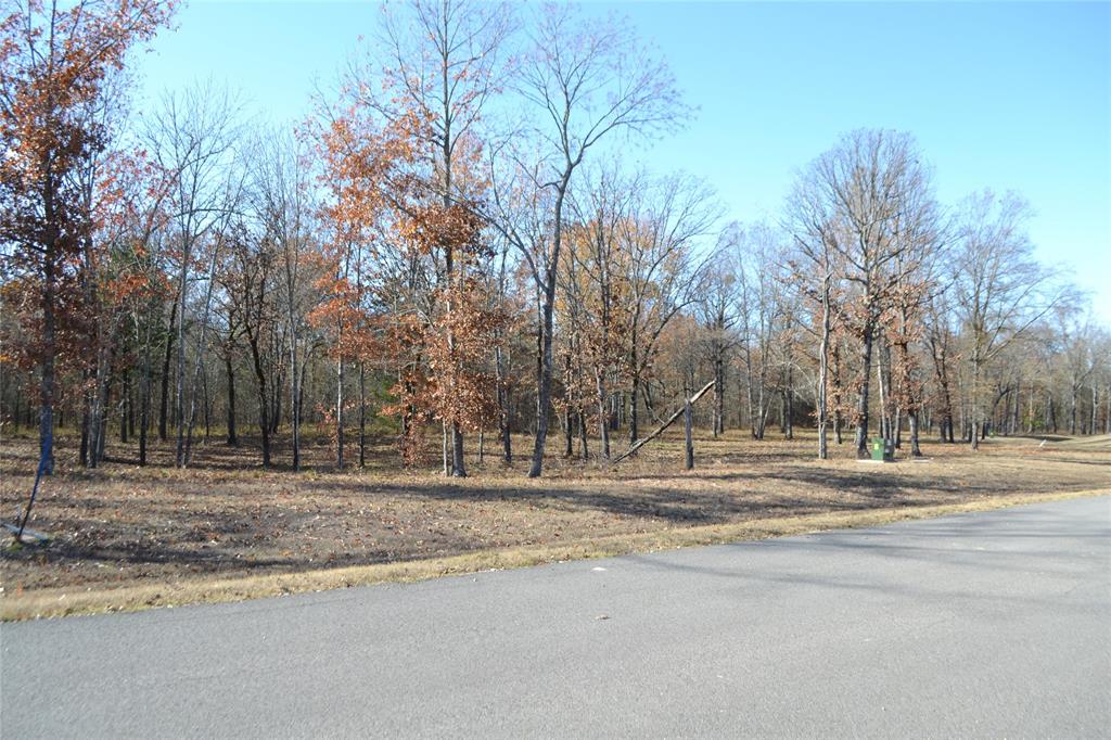 Angler Shores - Land