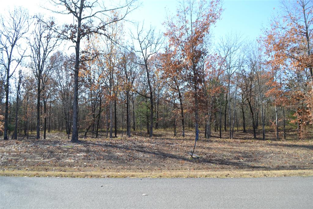 Angler Shores - Land