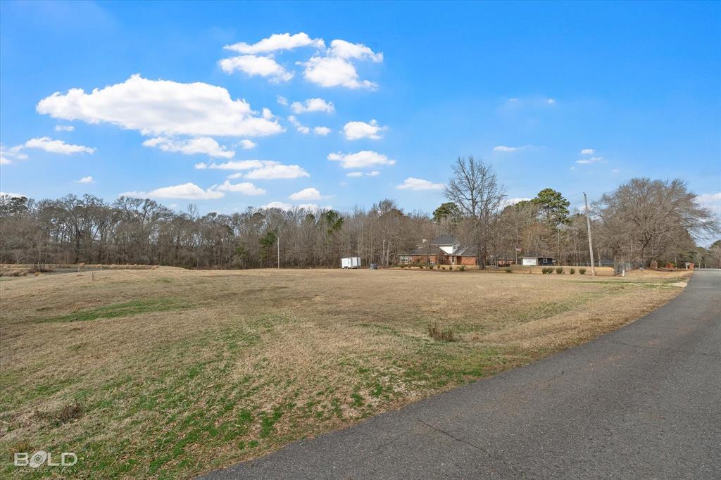 Silver Forest 01 - Land