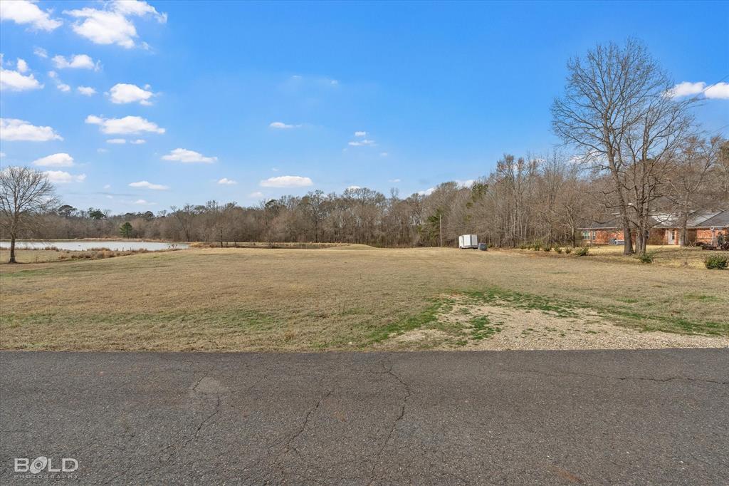 Silver Forest 01 - Land