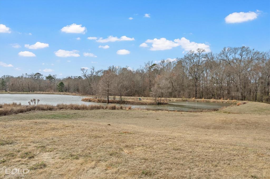 Silver Forest 01 - Land