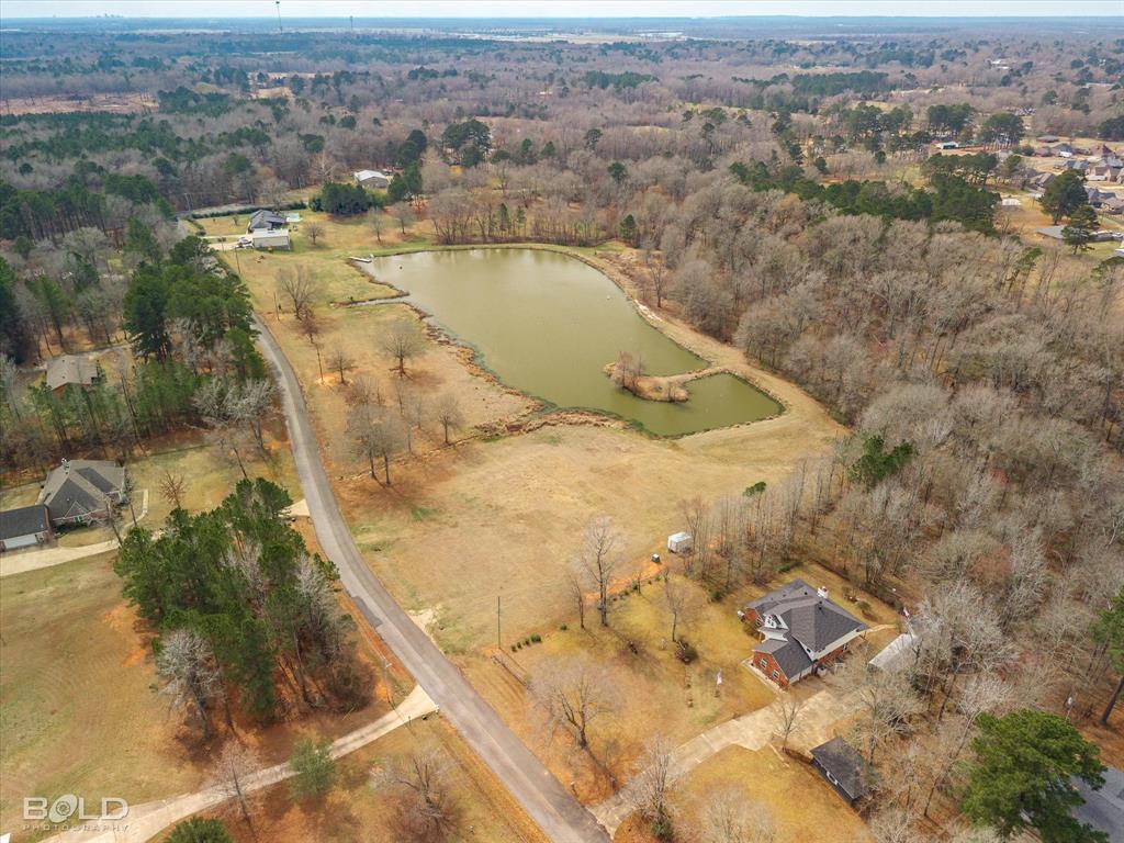 Silver Forest 01 - Land