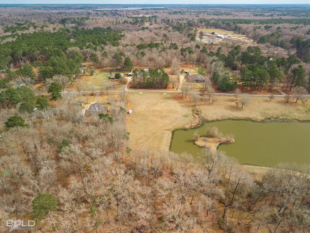 Silver Forest 01 - Land