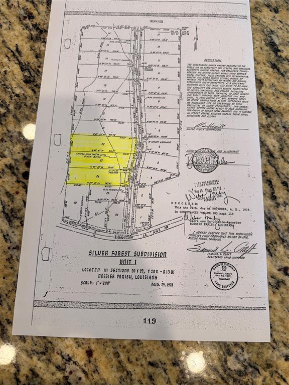 Silver Forest 01 - Land