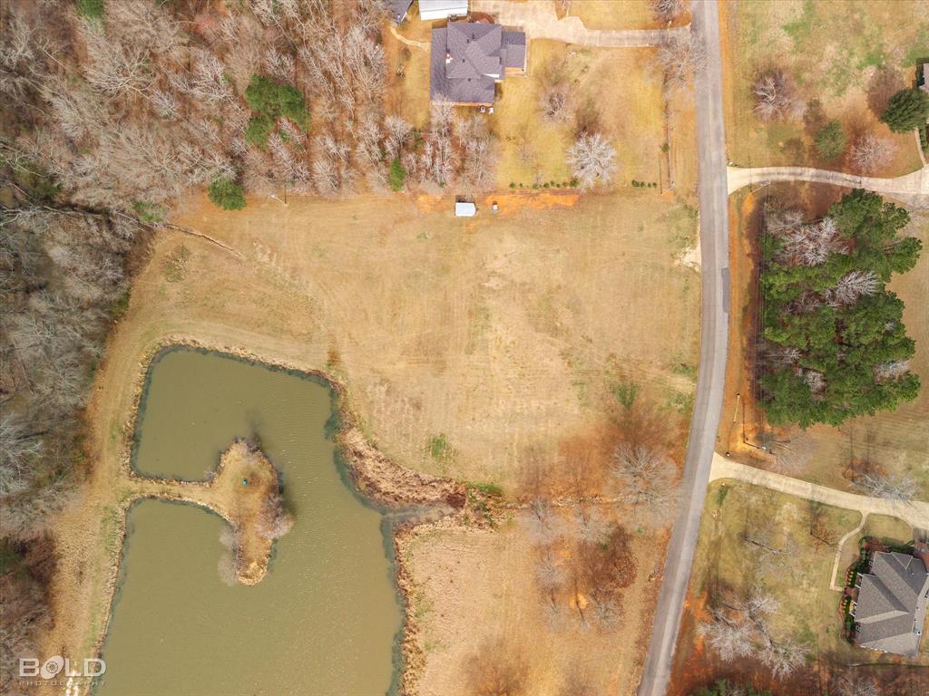 Silver Forest 01 - Land