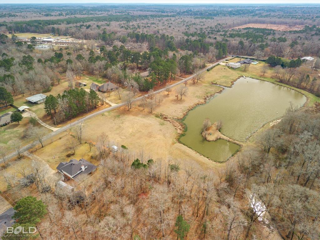 Silver Forest 01 - Land