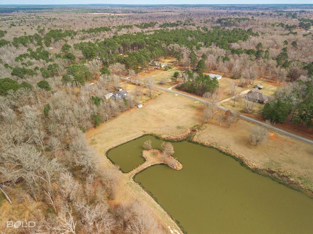 Silver Forest 01 - Land