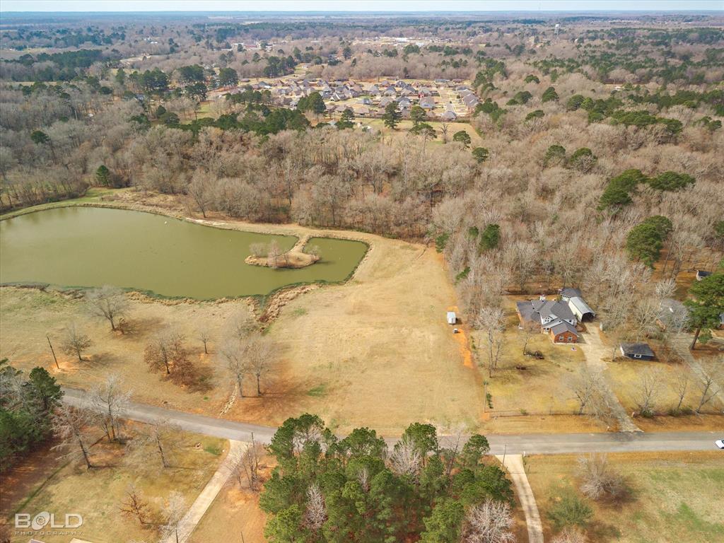 Silver Forest 01 - Land