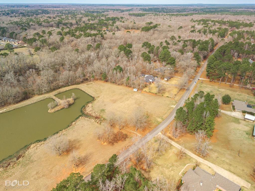 Silver Forest 01 - Land