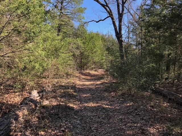 The Wilderness - Land