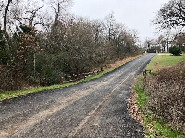 The Wilderness - Land