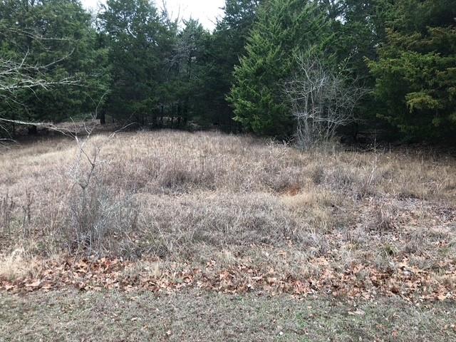 The Wilderness - Land