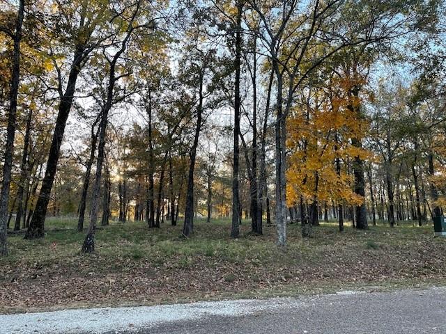 Pinnacle Club - Land