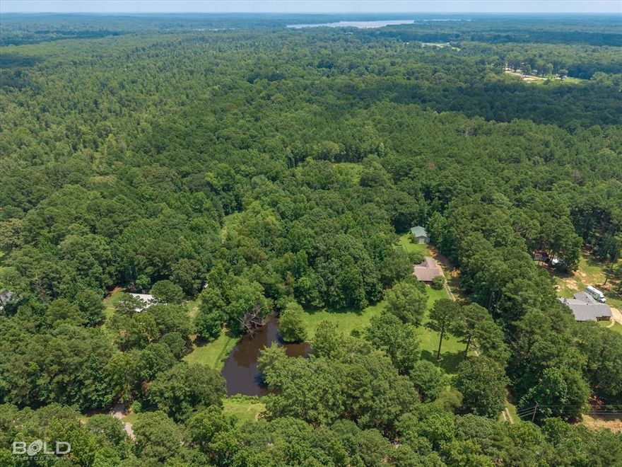 Discover your own slice of secluded paradise with this 10-acre tract tucked away in a peaceful, wooded setting. Partially cleared where a manufactured home once stood, this property is already equipped with key utilities—well, septic system, and electricity—making it an ideal spot for a new home, manufactured home, weekend getaway, or investment. A gravel driveway is in place, and the land is rich with mature trees, offering both natural beauty and privacy. A small pond adds to the charm and potential of the land. With abundant wildlife and thick tree cover, it also makes excellent hunting land. Access the property from Silver Leaf Drive or the connector road from Sydney Avenue. Whether you're looking to build, relax, or hunt, this versatile property offers endless possibilities!