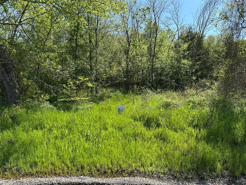 Bois D'Acre Lake Estates - Land