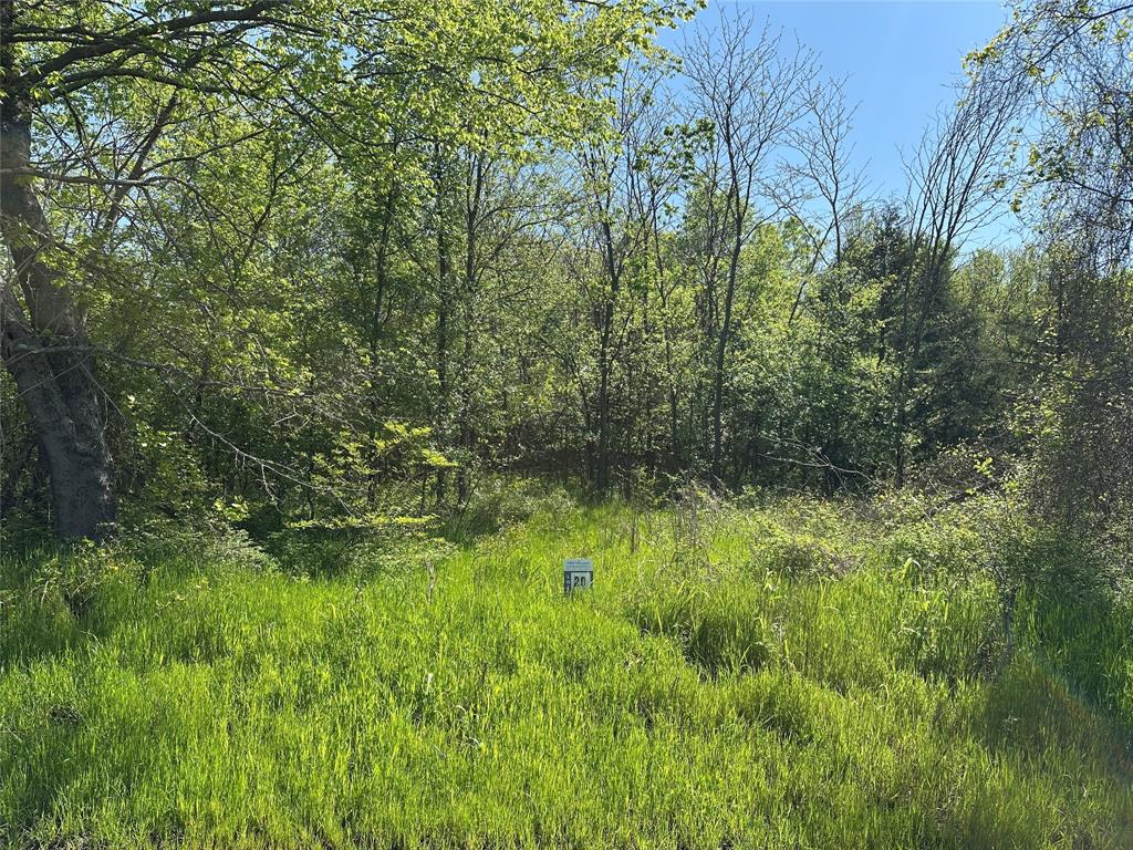 Tract 20 County Road 2960