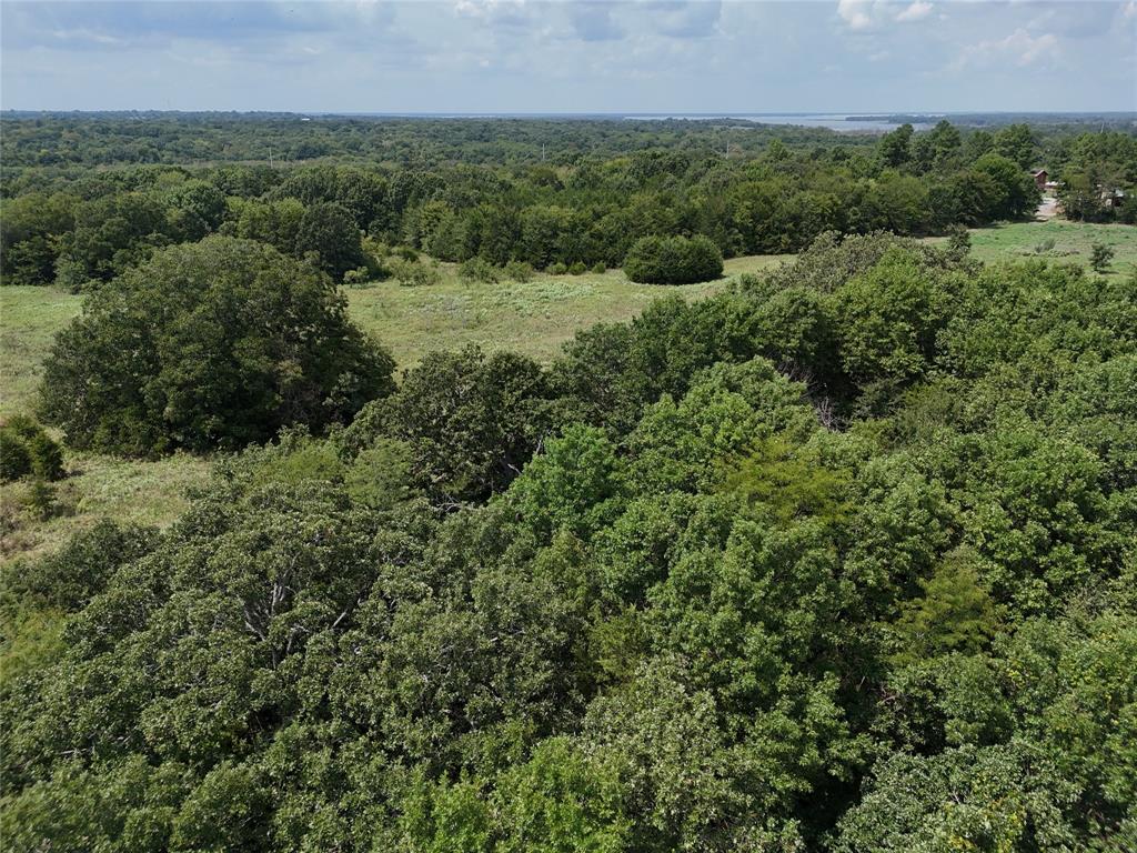 James Jefferies Surf #570 - Land