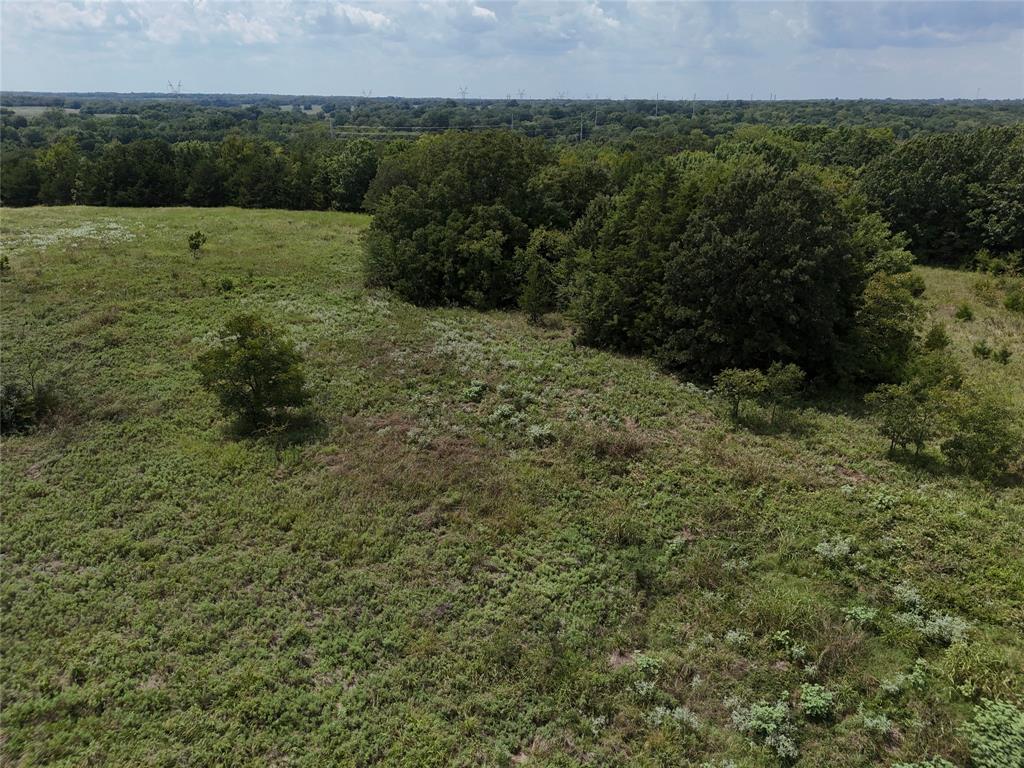 James Jefferies Surf #570 - Land