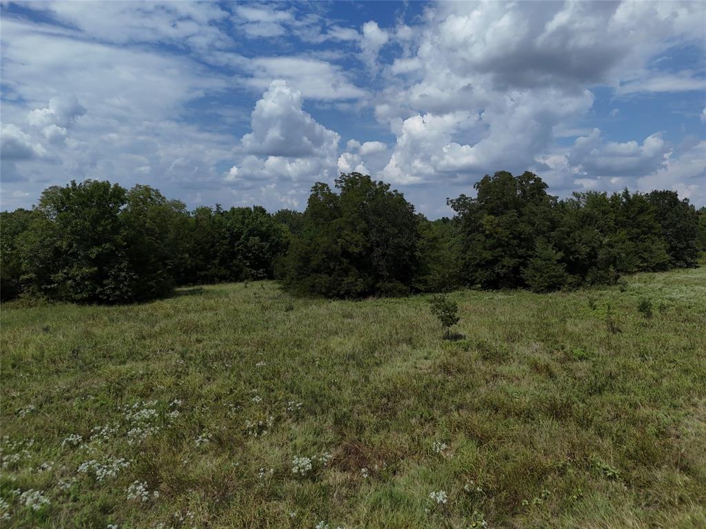 James Jefferies Surf #570 - Land