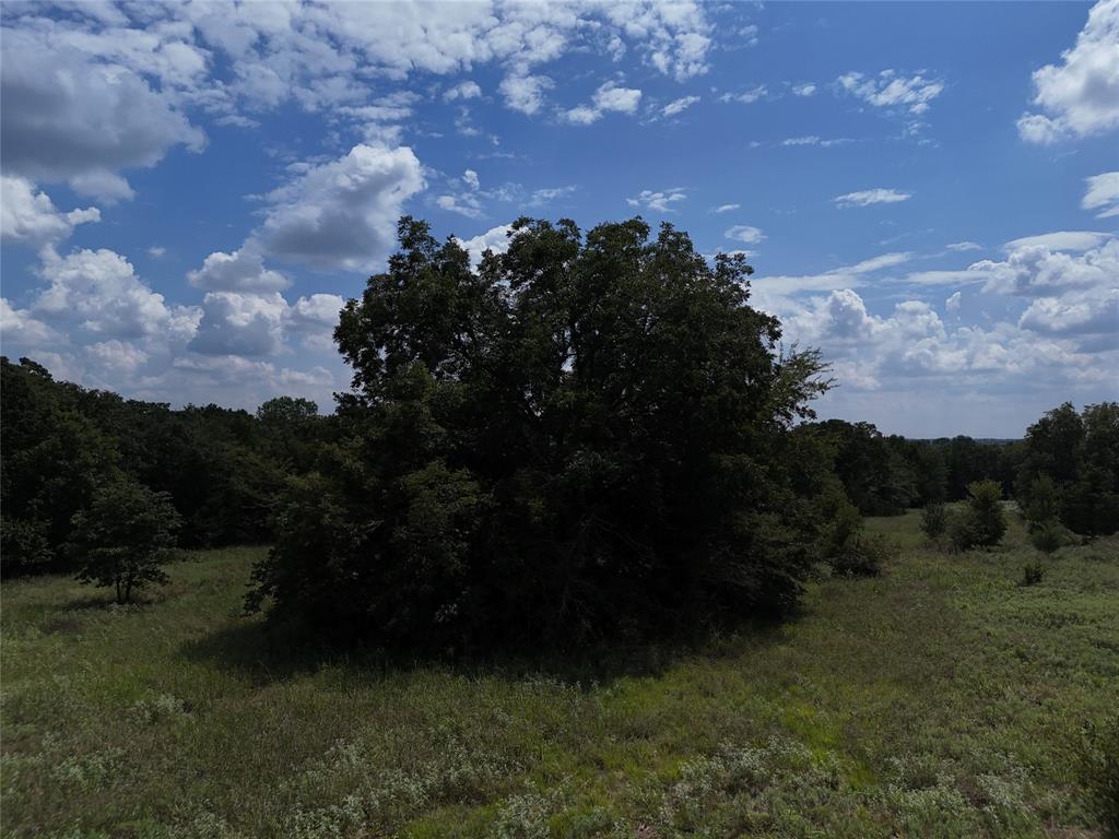 James Jefferies Surf #570 - Land