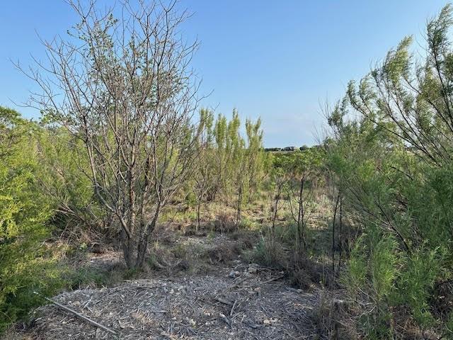 Lot 645R Canyon Wren Loop