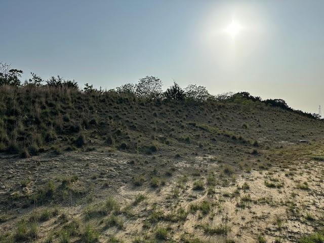 Lot 645R Canyon Wren Loop