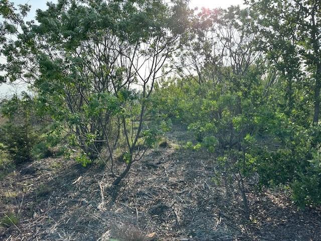 Lot 645R Canyon Wren Loop