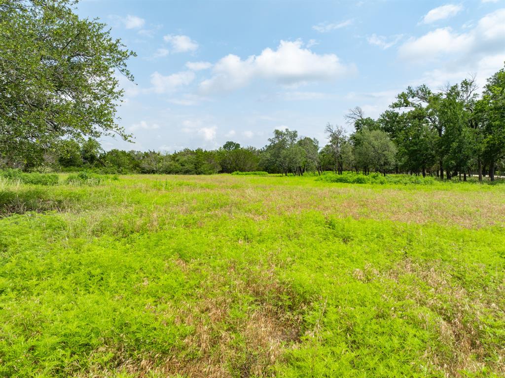 W Mauldin Surv Abs # 546 - Land