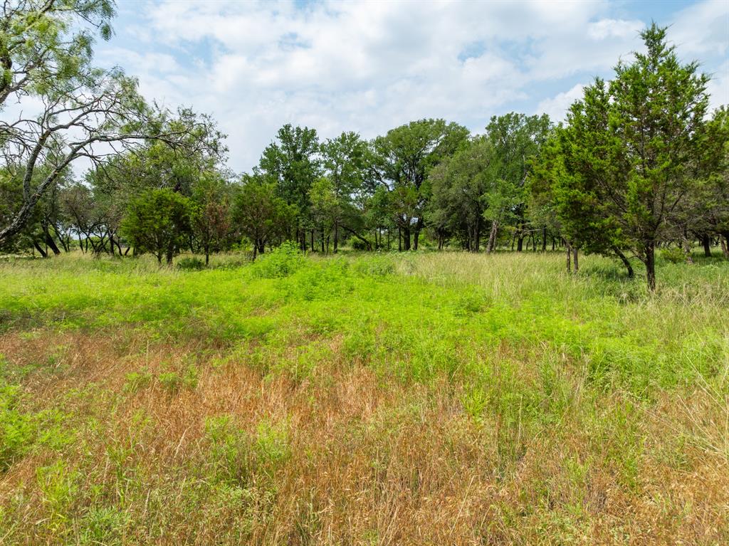 W Mauldin Surv Abs # 546 - Land