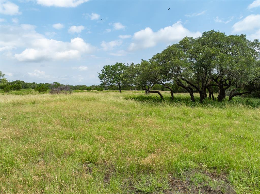 W Mauldin Surv Abs # 546 - Land