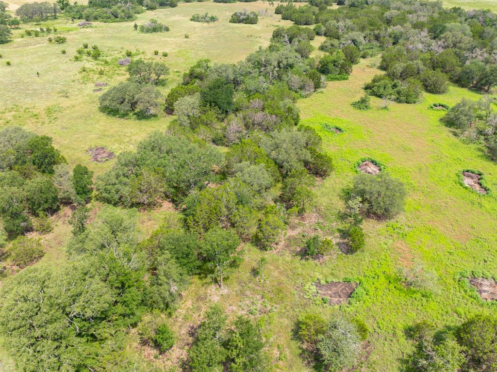 W Mauldin Surv Abs # 546 - Land