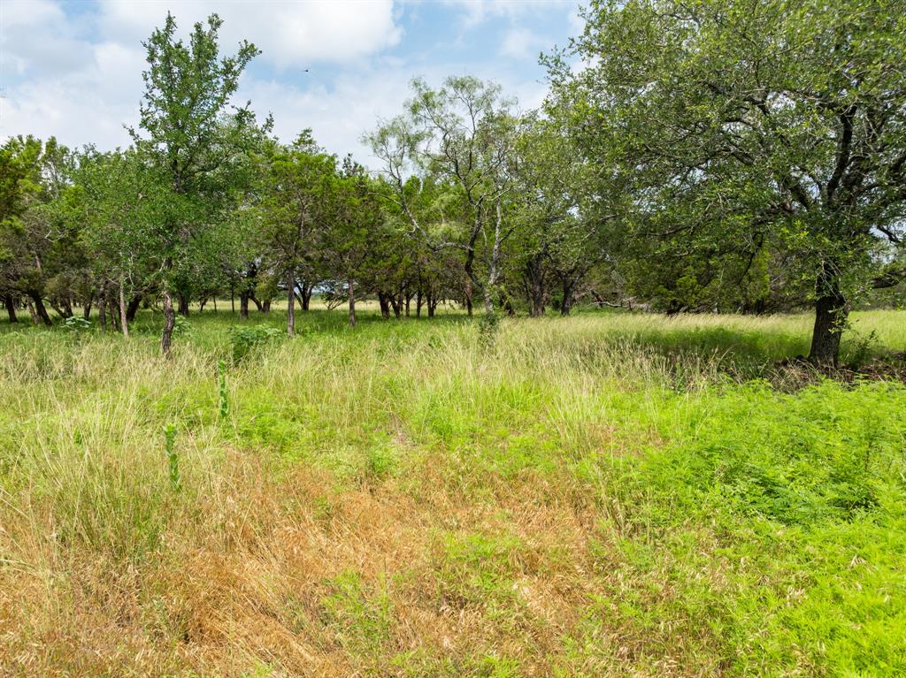 W Mauldin Surv Abs # 546 - Land